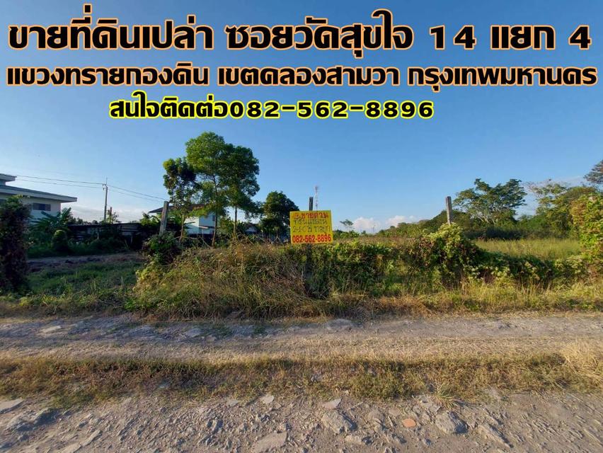 ขายที่ดินเปล่า ซอยวัดสุขใจ 14 แยก 4 คลองสามวา กรุงเทพมหานคร 1