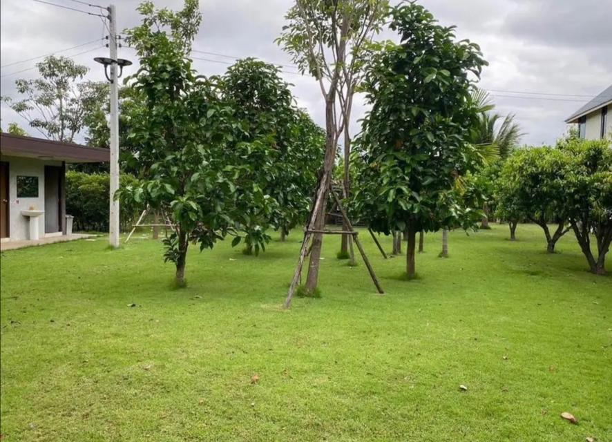 บ้านพักสไตล์รีสอร์ท 2