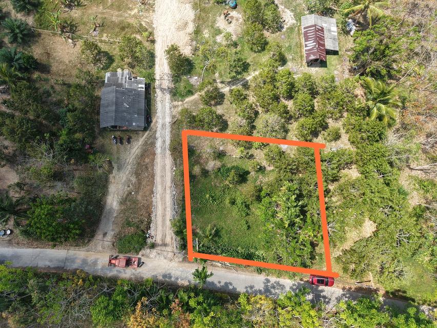 ที่ดินปลูกบ้าน โกดังเก็บของ 2