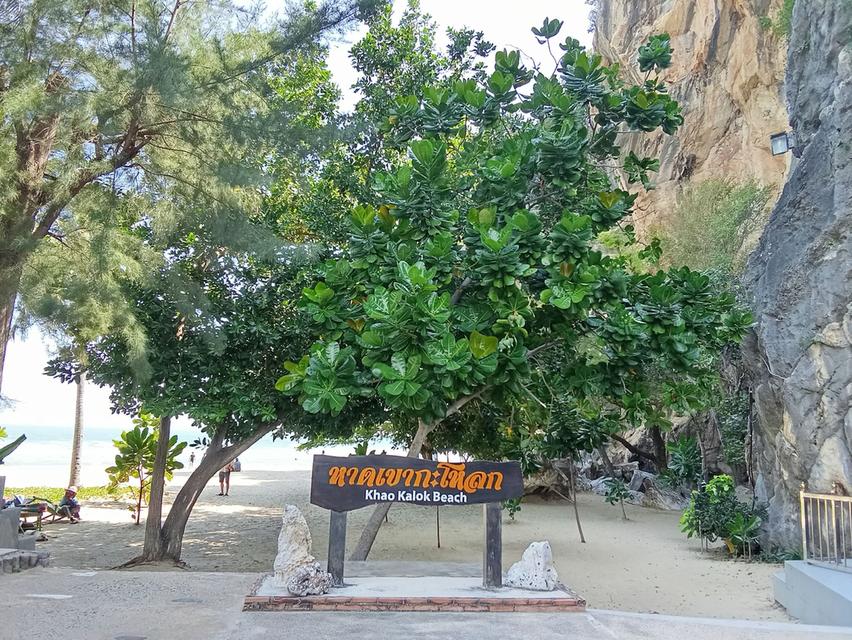 ขายบ้านเดี่ยวสองชั้น 12