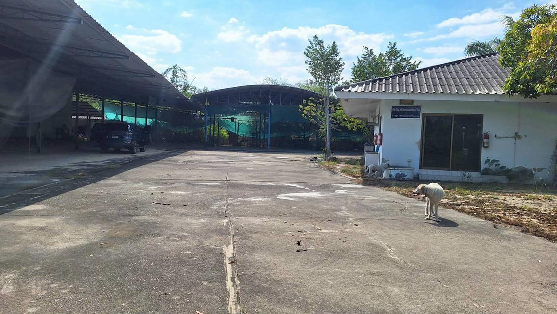 🔥 ปล่อยเช่า / ขาย ที่ดินพร้อมโกดัง ทำเลดี จ.นครปฐม 🔥 พื้นที่ใหญ่ 4 ไร่กว่า รองรับธุรกิจได้หลากหลาย 6