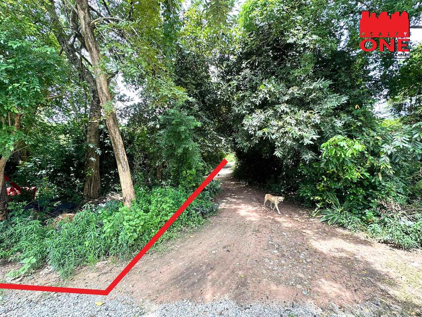 ที่ดินแบ่งขายราคาถูกมาก ทำเลดีในโคราช หัวทะเล ขนาด99 ตร.ว. เพียง 1.2 ล้านบาท (ต่อรองได้) ฟรีโอน 10