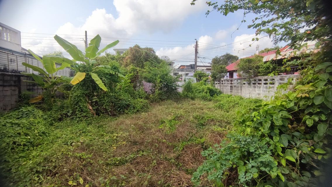 ขายที่ดิน 191 ตารางวา ซอยประชาอุทิศ 17 แยก 1 ใกล้ทางด่วน ใกล้รถไฟฟ้าสายสีม่วงใต้ 2