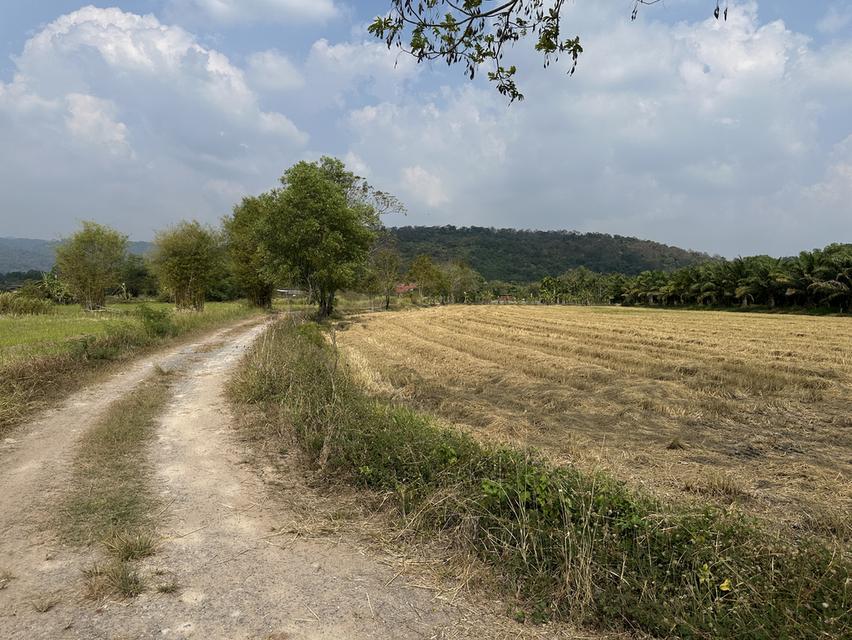 ขายที่ดิน เนื้อที่ 13-2-31.5 ไร่ ตำบลสาริกา อำเภอเมือง จังหวัดนครนายก 1