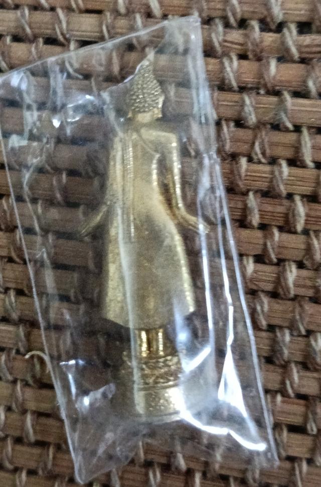 ฉลองพระพุทธเจ้าปางเปิดโลก วัดลำบัวลอย รูปที่ 5