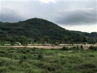 ที่ดิน ราคาถูก ๆราคานี้ หาไม่ได้เเล้ว  โฉนดครุฑเเดง 2