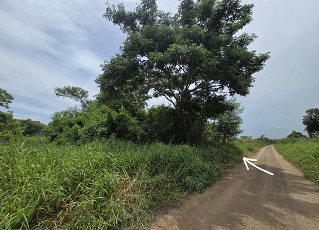 ขายที่ดินถมแล้ว 100 ตร.ว คลองห้า ปทุมธานี ทำเลดี ใกล้ราชมงคล 6