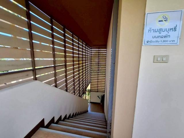 ขายที่ดินพร้อมสิ่งปลูกสร้าง อพาร์ทเม้นท์ + บ้านเดี่ยว เนื้อที่รวม 1 ไร่ 39 ตารางวา ในอำเภอบ้านลาด จังหวัดเพชรบุรี 6