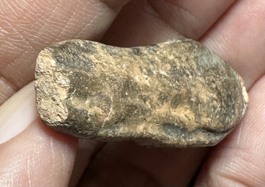 พระลีลากลีบจำปา พระหักเดิม 6