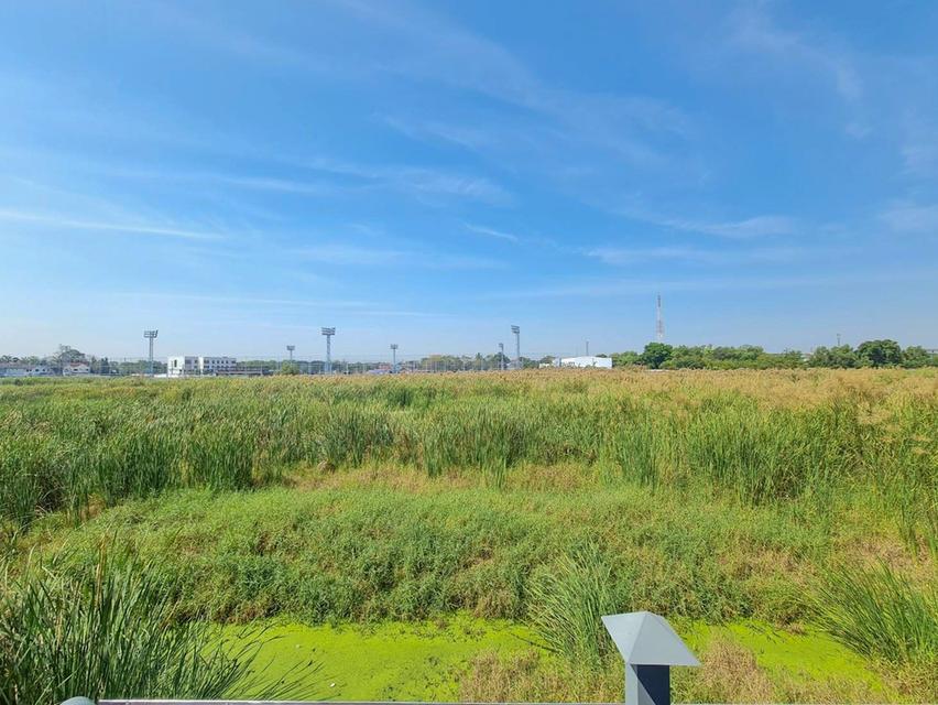 บ้านเดี่ยวศุชญา รังสิต ธัญญะ คลอง4 18