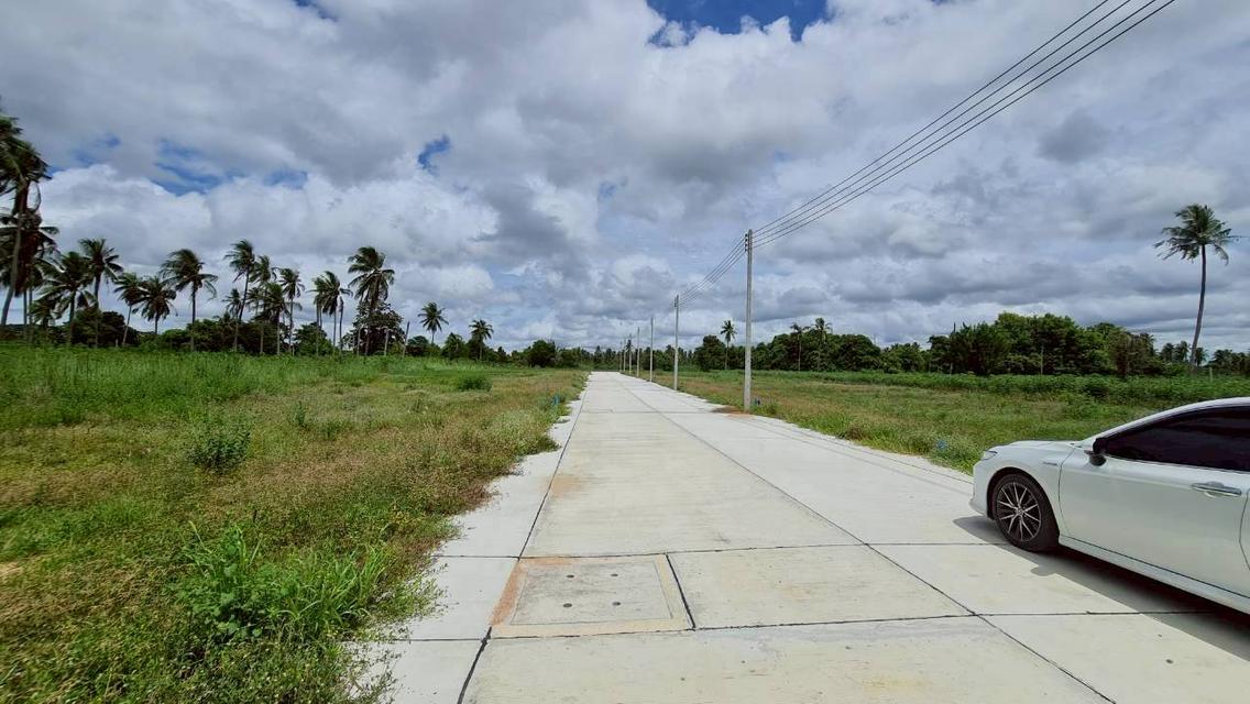 ที่ดิน THE PROPERLAND HUAY YAI 14