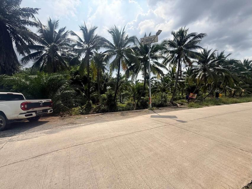 ขายที่ดินนครชัยศรี 641 ตรว ติดถนนสาธารณะ ต.ขุนแก้ว อ.นครชัยศรี จ.นครปฐม 5