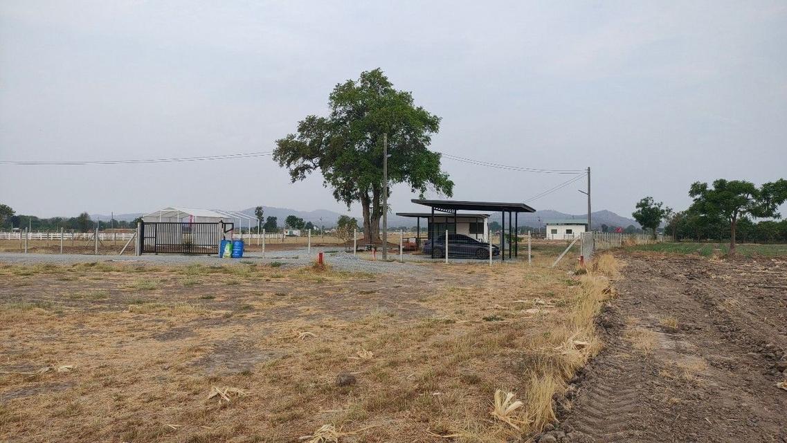 ขายที่ดินอู่ทองทำเลวิวสวน 1