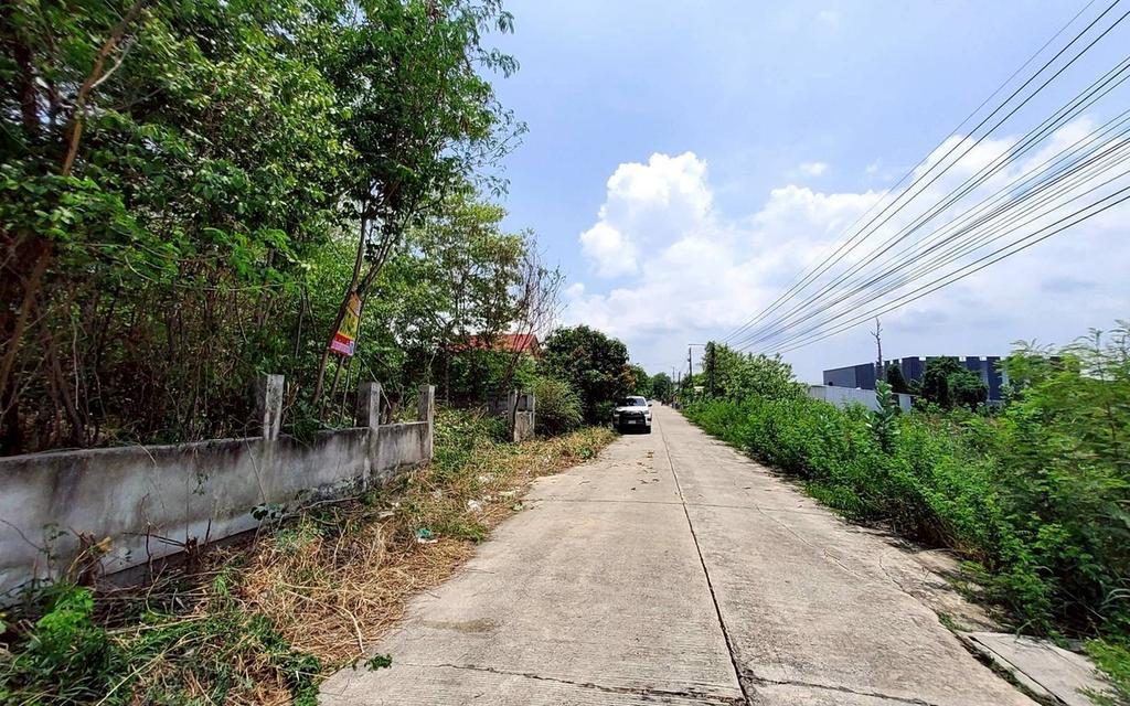 ขายด่วนที่ดินวิวคลอง 95 ตรว ติดถนนสาธารณะ คลองสี่ ซ.สุสวาส ธัญบุรี ปทุมธานี 2
