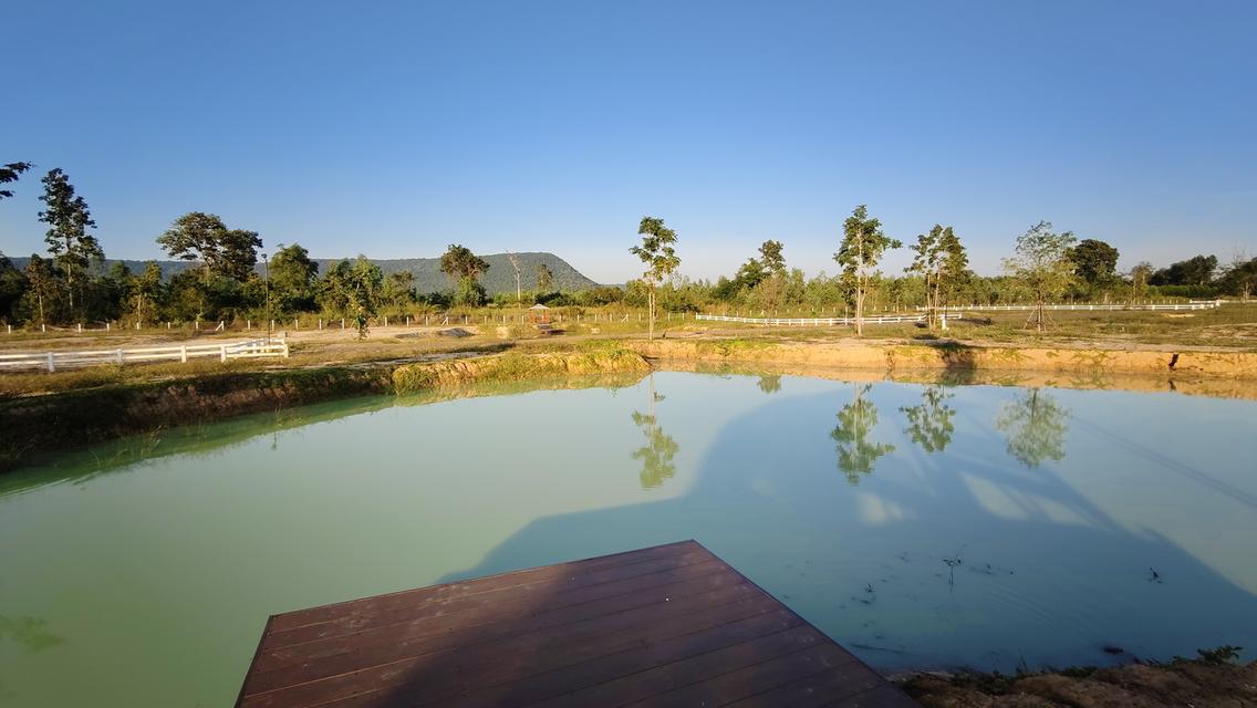 ที่ดิน " วิวภูเขา " อากาศดี ใกล้วังน้ำเขียว ใกล้ทางหลวง 304 วิวภูเขาลอมรอบ ภูหลวง ปักธงชัย นครราชสีมา มีให้เป็นเจ้าของอีก 5 แปลง เท่านั้น 9