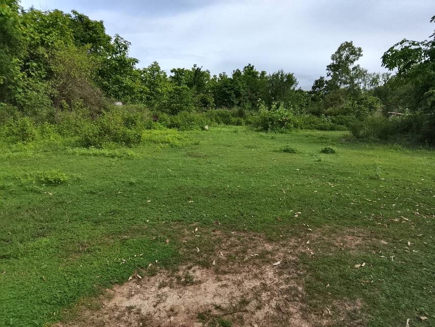 ที่ดิน อำเภอเถิน จังหวัดลำปาง 4
