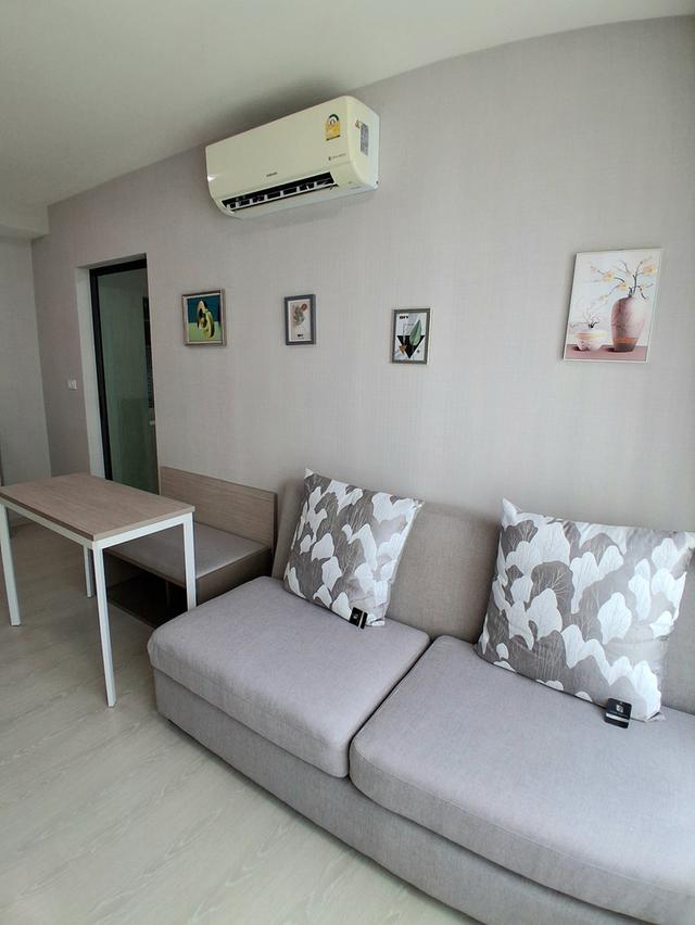 ให้เช่า กรีเน่คอนโด ดอนเมืองสรงประภา วิวสระ 34sq.m.9,500 10