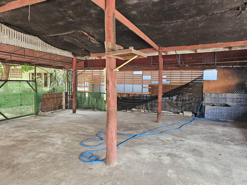 บ้านพร้อมที่ดินใจกลางเมืองหนองคาย 5
