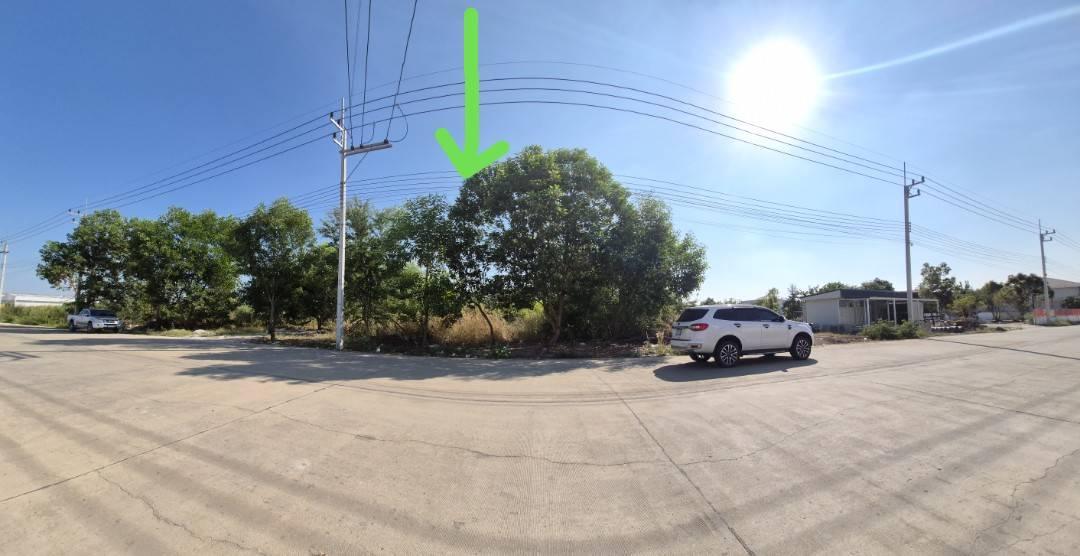 ขายที่ดินเปล่าถมแล้วสวยมาก ลำลูกกา คลอง11 ปทุมธานีใกล้วัดป่าเจริญราช 4