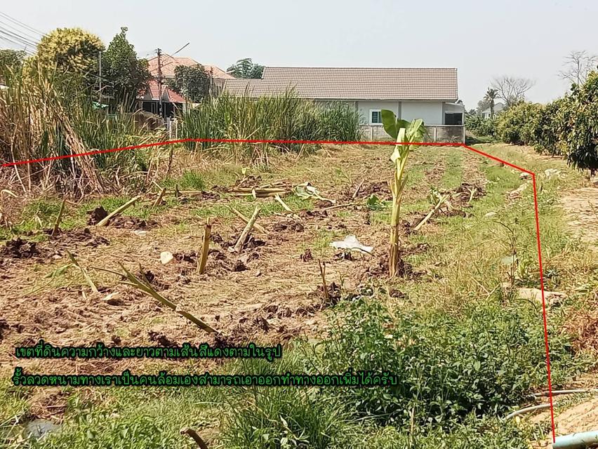 ที่ดินเปล่า/ไม่แบ่งขาย 3