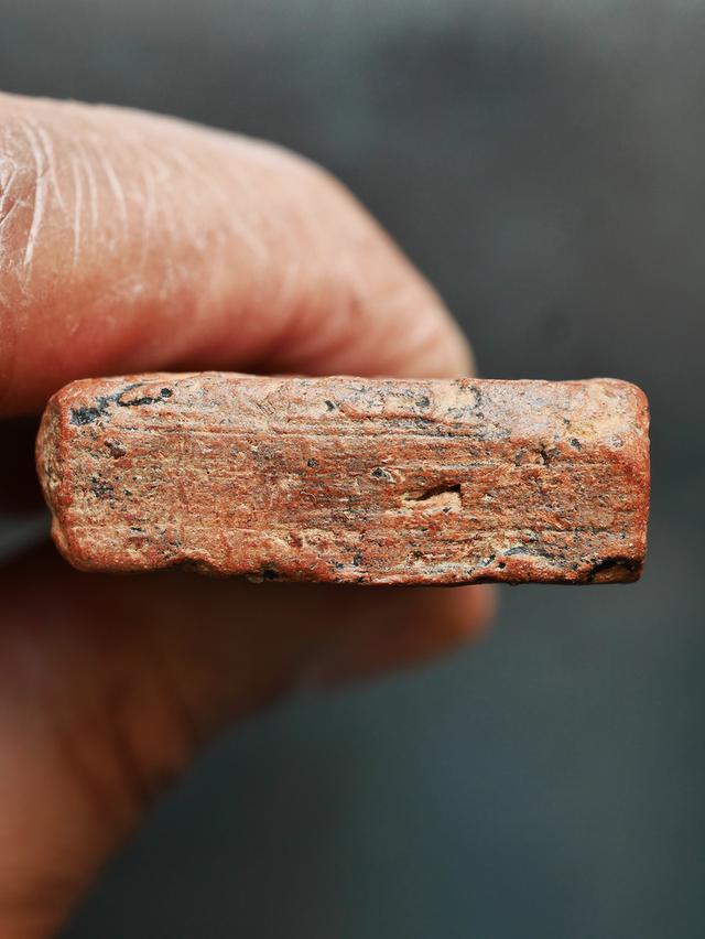 พระเชียงแสน ปรกโพธิ์ พิมพ์ใหญ่ เนื้อดิน ขนาด 3 x 6 ซม....เก่าๆ รูปที่ 10