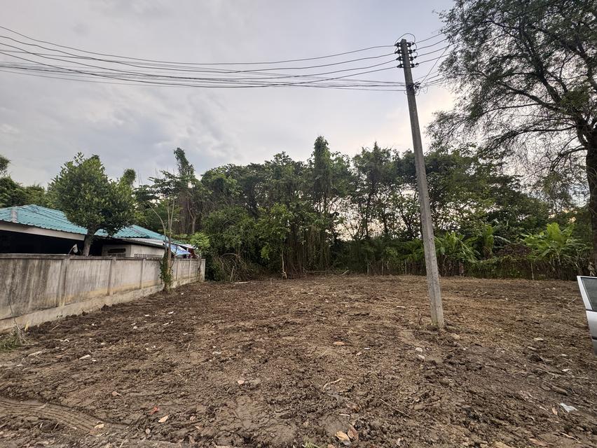 ที่ดินเปล่า 180 ตรว. น้ำพร้อม ไฟพร้อม  3