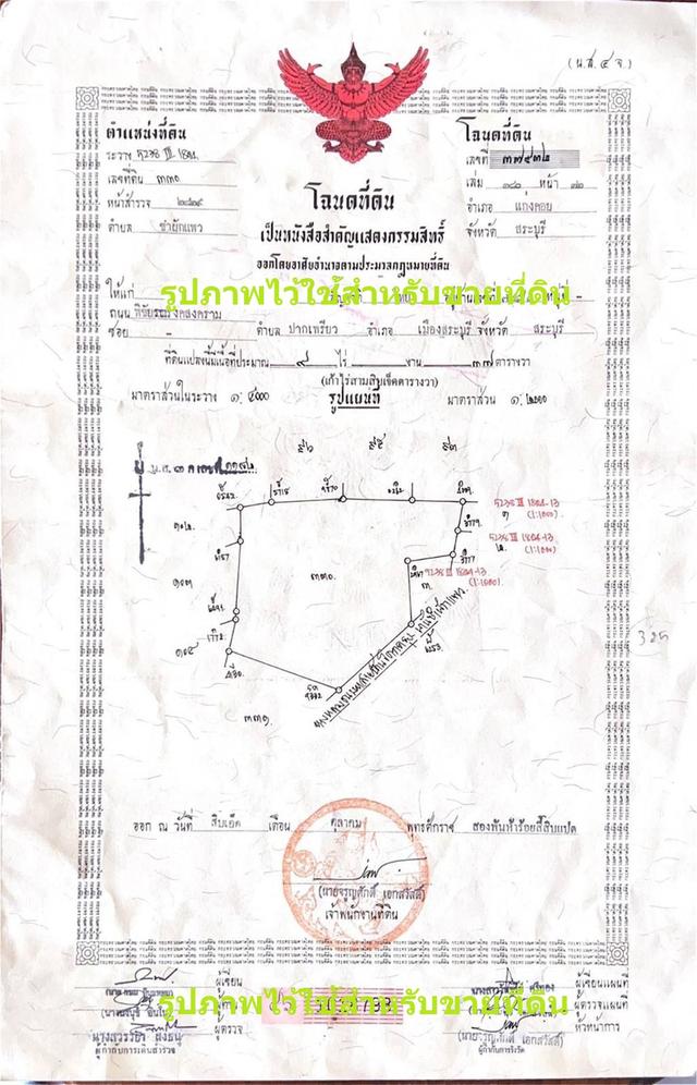 🌲ขายที่ดินโคกกรุง แก่งคอยบ้านนา (ชุมชนชำผักแพว) อ.แก่งคอย จ.สระบุรี🌲 6