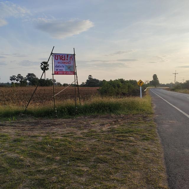 ที่ดินลพบุรี เนื้อที่ 6 ไร่ 90 ตารางวา 13