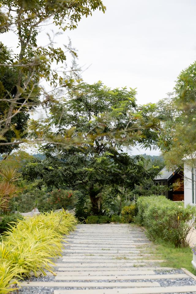 ขายรีสอร์ท ที่ วังน้ำเขียว  14ไร่  บนถนน 3060 เส้นไปปากช่อง ระเริง 27 ล้าน บาท 13