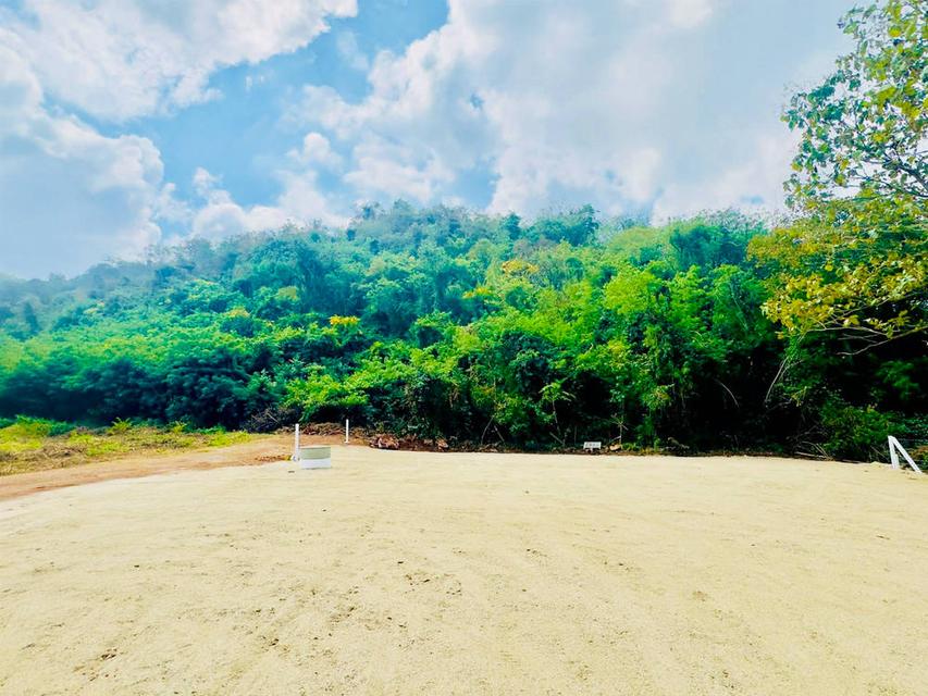 ขายที่ดินปากช่อง ใกล้เขาใหญ่ ที่ดินติดภูเขา วิวภูเขาชัดเจน ตำบลขนงพระ ปากช่อง นครราชสีมา 6