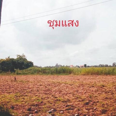 วิวน้ำดีงามสวยสมบูรณ์ดินดี เช่า หรือขาย ที่ดินติดแม่น้ำน่าน ที่สวยติดแม่น้ำน่าน ชุมแสง จ.นครสวรรค์ 5
