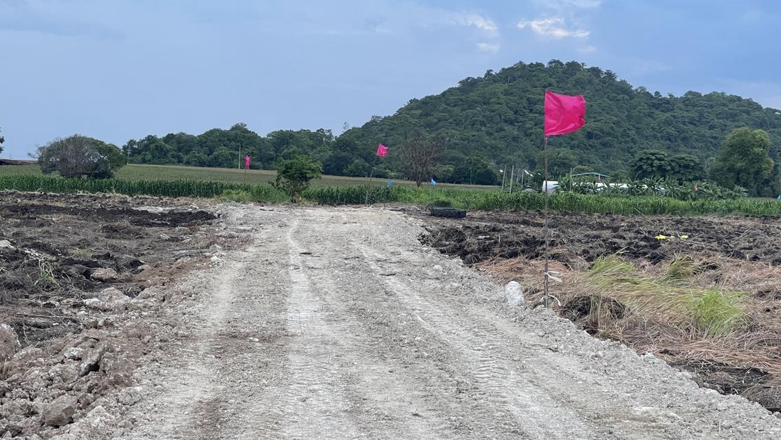 ที่ดินหนองม่วง จ. ลพบุรี 18