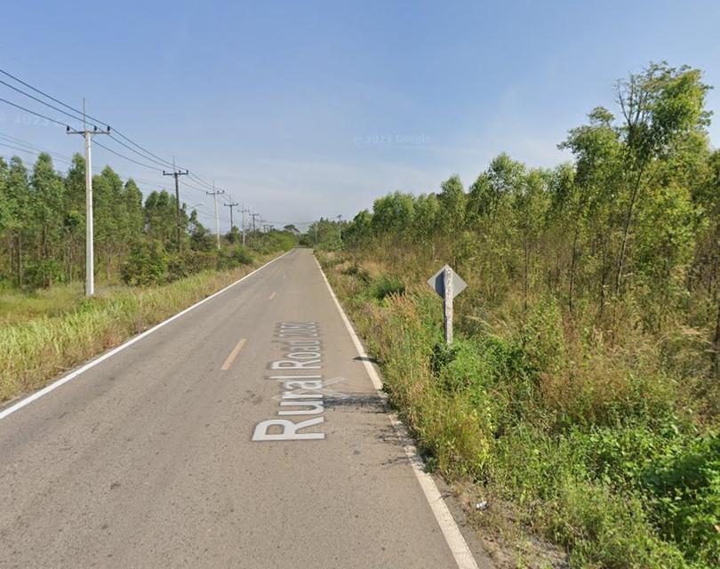 ขายที่ดินหนองกี่เนื้อที่ 4 ไร่ ติดถนนเส้น3050 ใกล้ถนนกบินทร์บุรี304-5กม. จ.ปราจีนบุรี 3