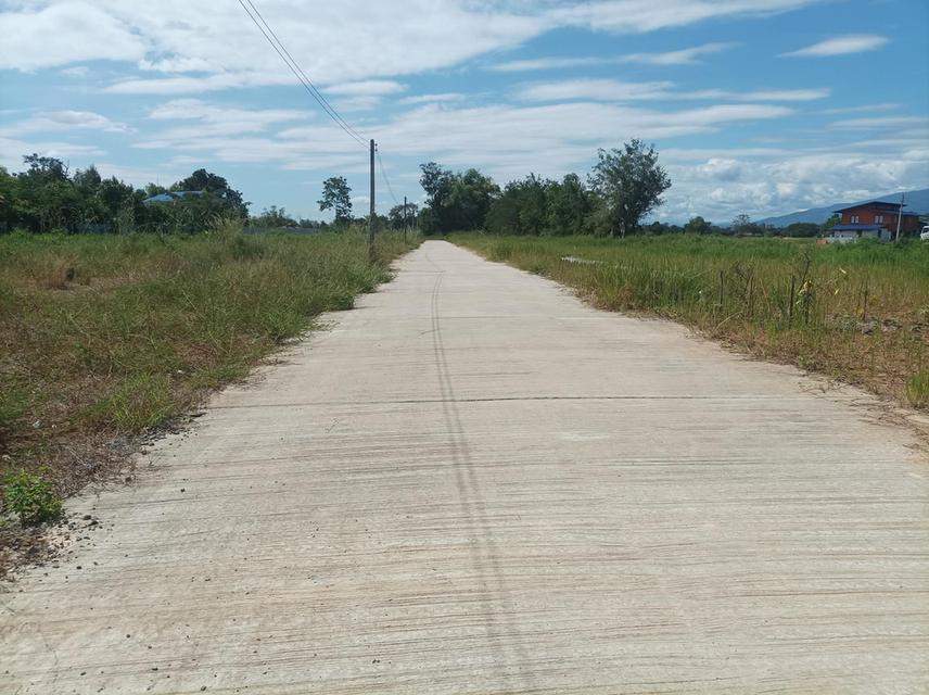 ขายที่ดิน ราคา3,980/ตร.ว. ต.สำราญราษฎร์ อ.ดอยสะเก็ด จ.เชียงใหม่ 4