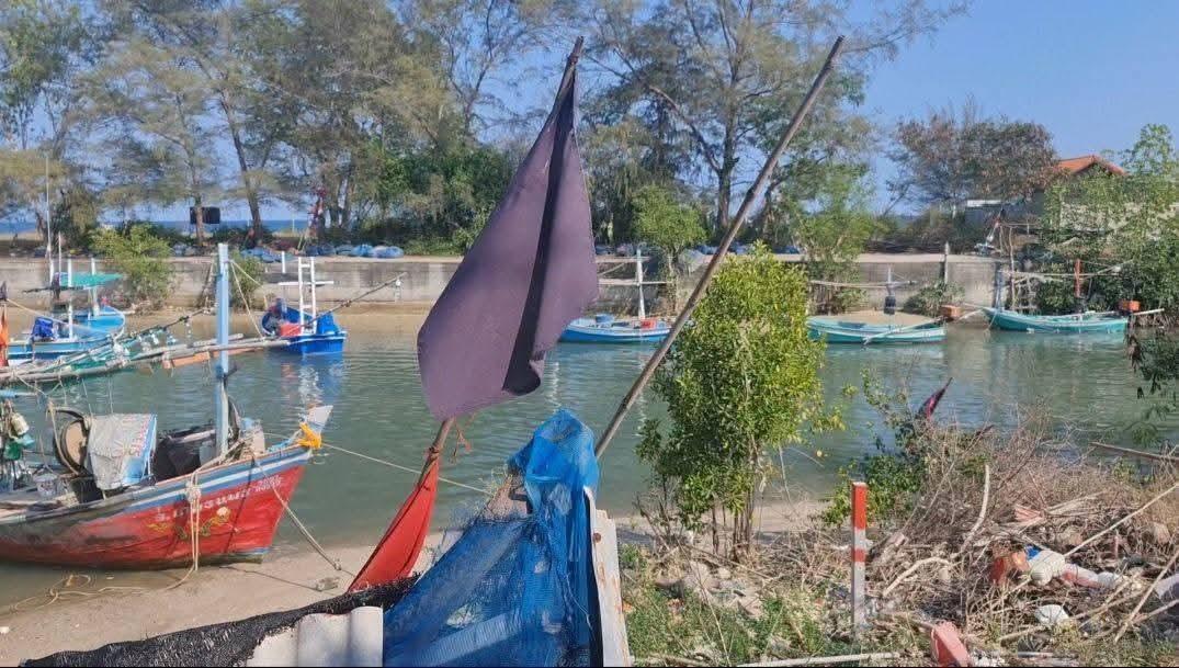 ขายถูกที่ดิน 2,900,000 ปากอ่าวทะเล ติดท่าจอดเรือประมง 3