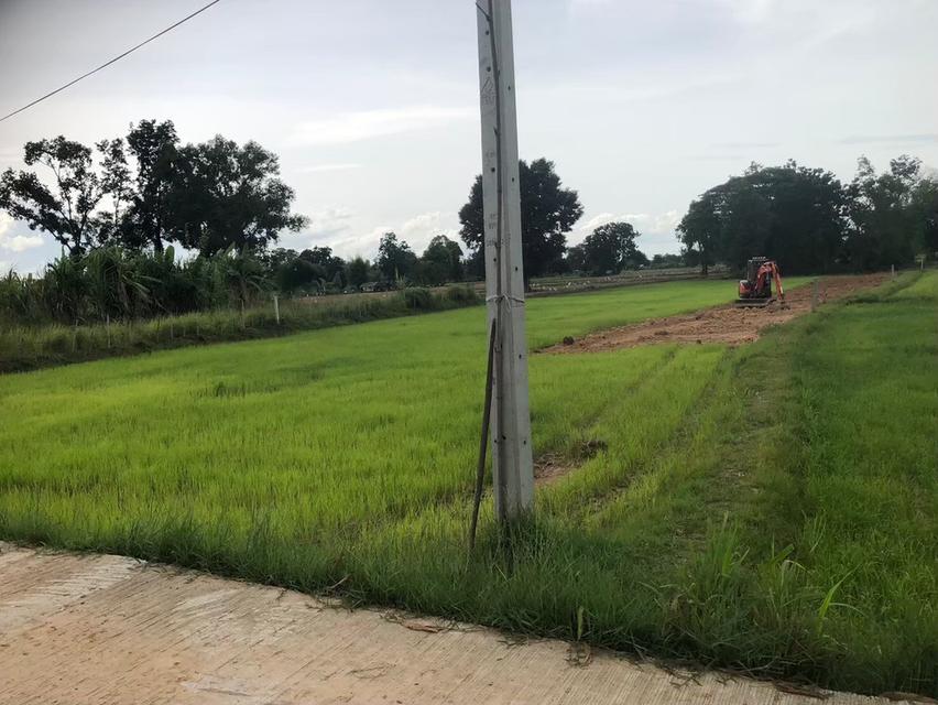 เจ้าของขายเอง ขายที่ดิน 5 ไร่กว่า ติดถนน น้ำ-ไฟ ถึง ห่างสถานีรถไฟ อำเภออุทุมพรพิสัย 5 กิโล เดินทางสะดวกมาก 8