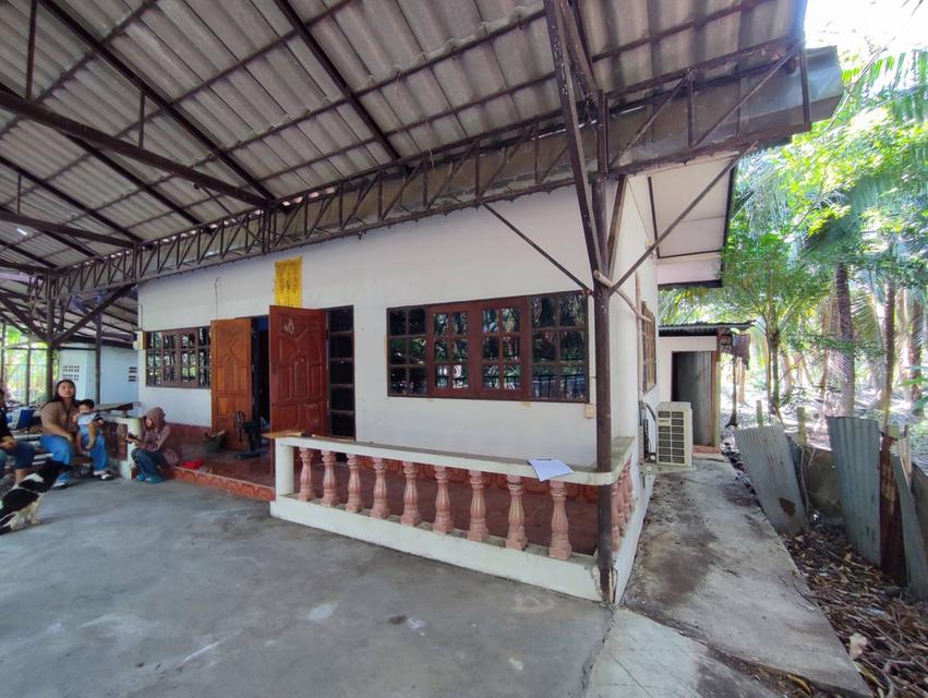 ที่ดินสวนพร้อมบ้าน บ้านเเพ้ว 10