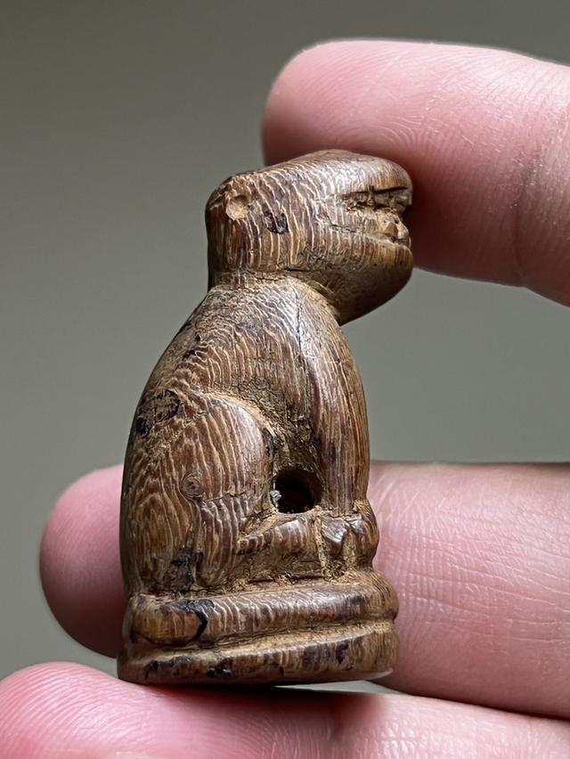 เสือไม้แกะเก่า  ก้นอุดคลั่ง รูปที่ 2