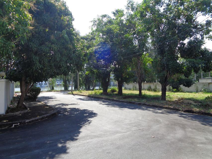 🚩 ขายที่ดินแปลงหัวมุม 129 ตารางวา ราคาถูกสุด❗ ทำเลดี ภายในโครงการหรูมีระดับ 15