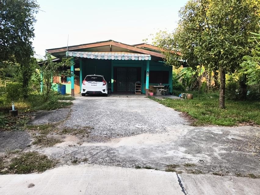 บ้านติดสุขุมวิท บ้านเดี่ยว เจ้าของขายเอง 1