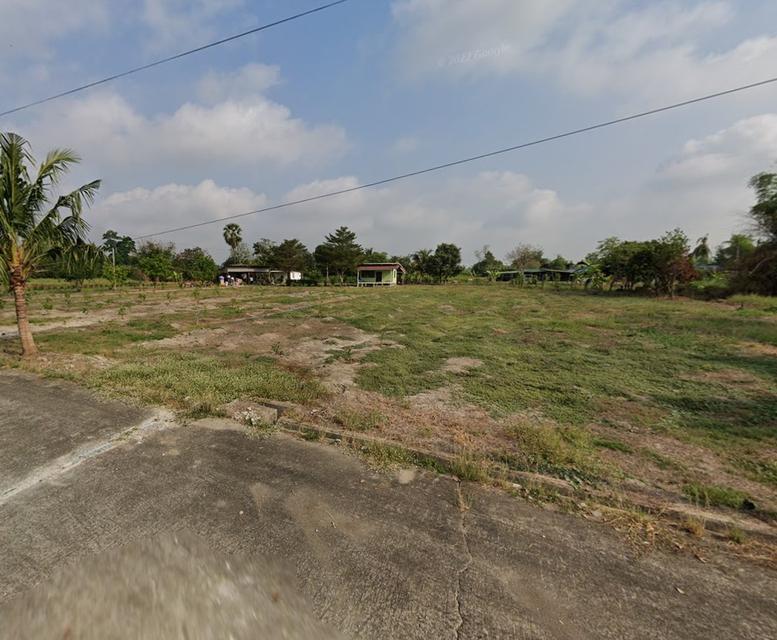 ที่ดิน หนองจอก กรุงเทพฯ 2 ไร่ 84 ตรว. ติดคลองธรรมชาติ – ผังสีเขียว เจ้าของขายเอง