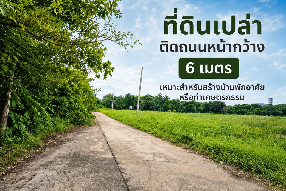 ขายที่ดิน คลองหลวง (คลองสาม) ปทุมธานี ใกล้ถนนใหญ่ ทางเข้าถนนคอนกรีต HRE00414 1
