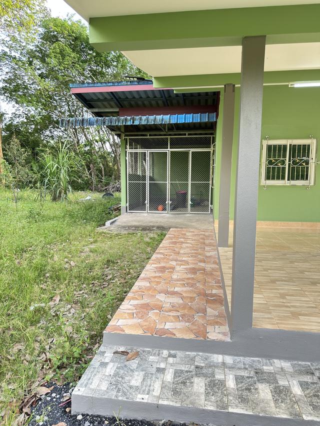 บ้านและสวน เนื้อที่ 1 ไร่ 3 งาน อยู่ใกล้วัดเจดีย์ไอไข่ ต.ฉลอง อ.สิชล จ.นครศรีธรรมราช 11