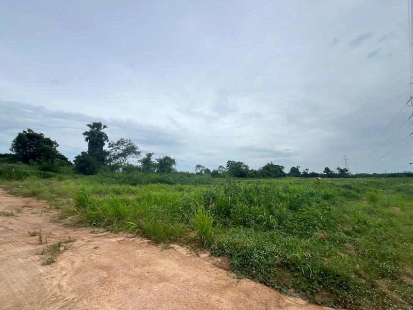 ขายที่ดิน ปลวกแดง ระยอง - ที่ดิน 12 ไร่