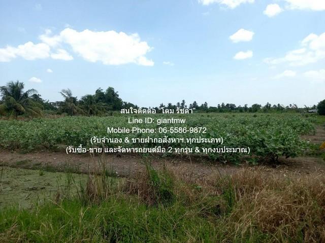 พื้นที่ดิน ขายที่ดินทางการเกษตร (ต้นดอกรัก) อ.นครชัยศรี นครปฐม 4-1-67 ไร่ ราคา 8,835,000 บาท พื้นที่เท่ากับ 1767 ตร.ว. ไ 7