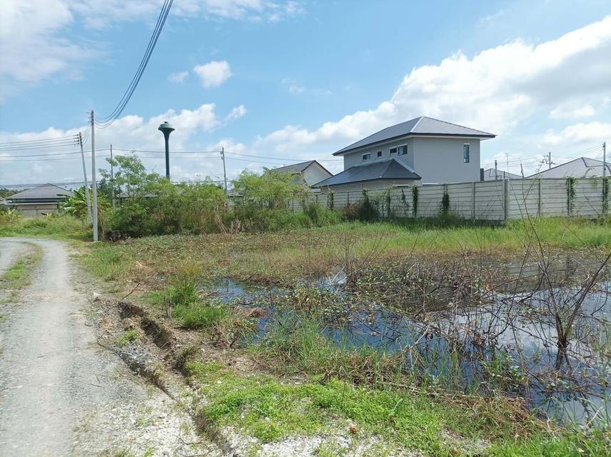 ขายที่ดิน 60 ตร.ว. ต.ตลาดขวัญ อ.ดอยสะเก็ด จ.เชียงใหม่ 8