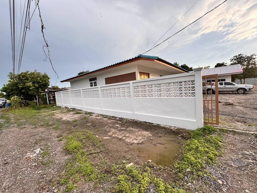 ขายบ้านสวนเนื้อที่ 1 ไร่ 38 ตรว.พร้อมบ้าน คลอง 11 อ.หนองเสือ จ.ปทุมธานี 16