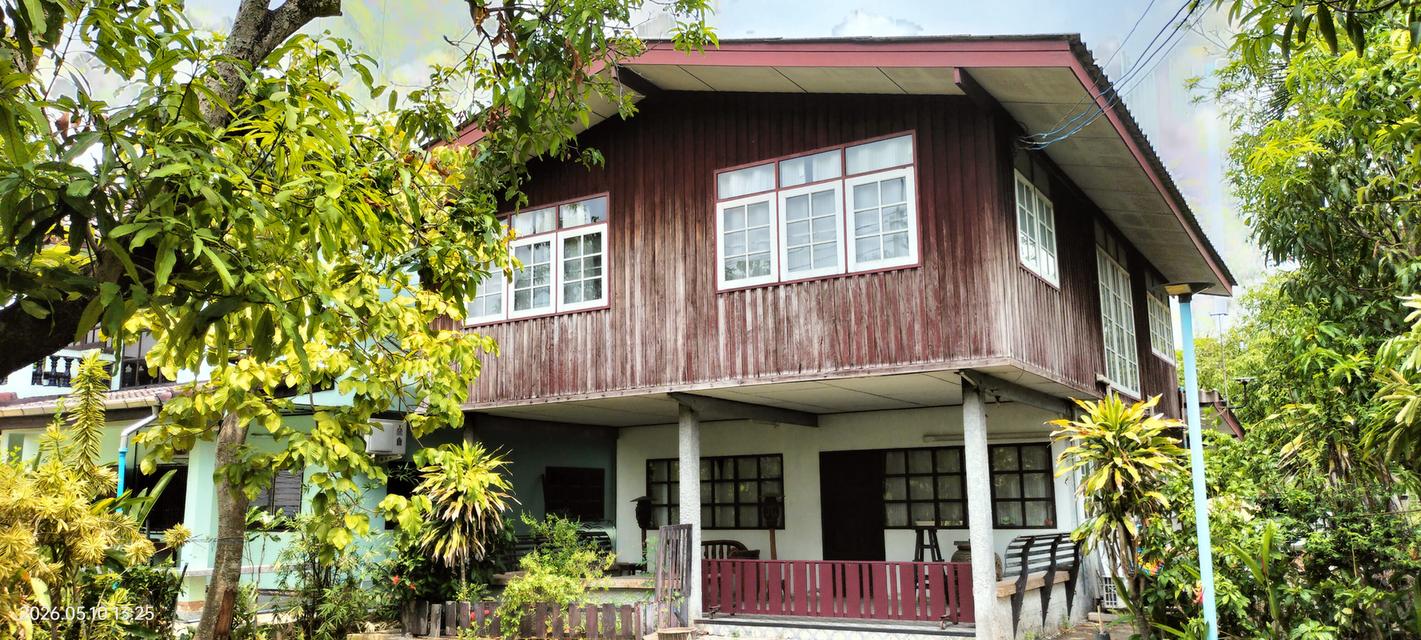 ขายที่ดินพร้อมบ้าน ริมคลองดำเนินสะดวก ตำบลหลักสาม อำเภอบ้านแพ้ว จังหวัดสมุทรสาคร 6