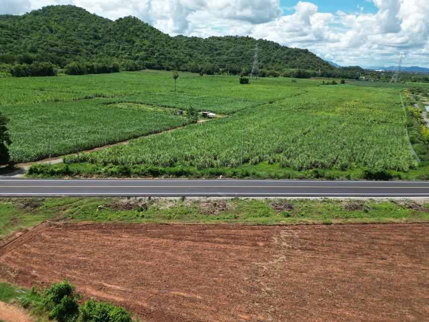 ที่ดินติดลาดยางหลัก กาญจนบุรี 17