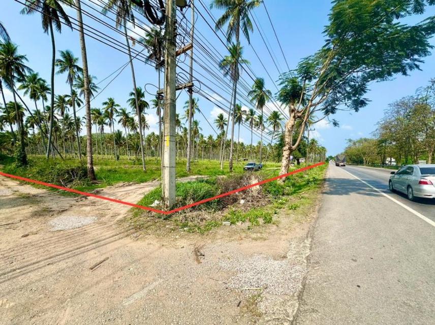 ขายด่วน ที่ดินติดถนนเพชรเกษม ทับสะแก  9